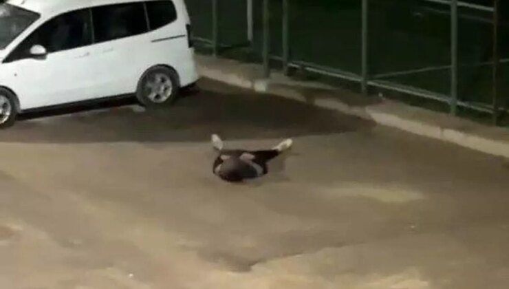 Adıyaman’da Uyuşturucu Etkisi ile Yere Yığılan Şahıs Hastaneye Kaldırıldı