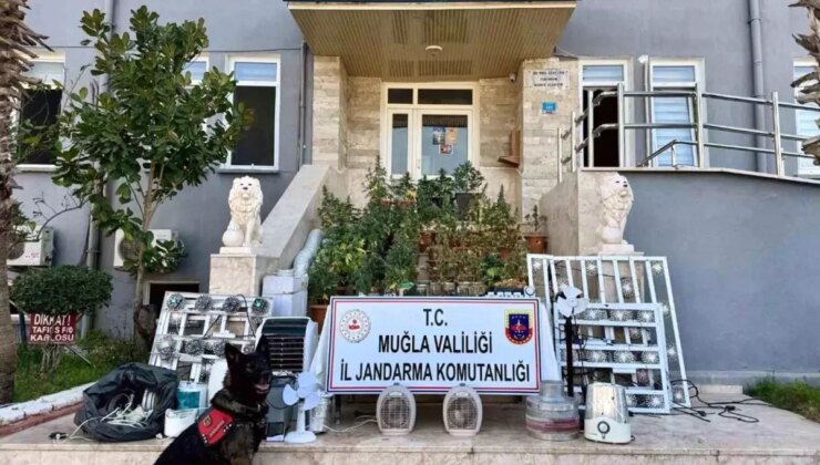 Muğla’da Uyuşturucu Operasyonu: 2.5 Kilogram Skunk Esrar Ele Geçirildi