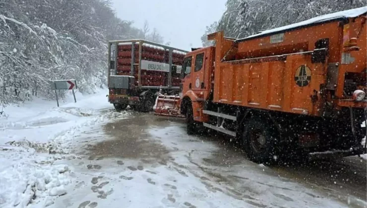 Doğalgaz Tüplü Tır Kaza Yaptı, Yol Ulaşıma Kapandı