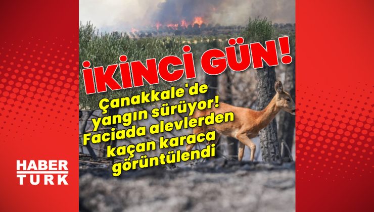 Çanakkale’de alevlerle mücadele sürüyor!
