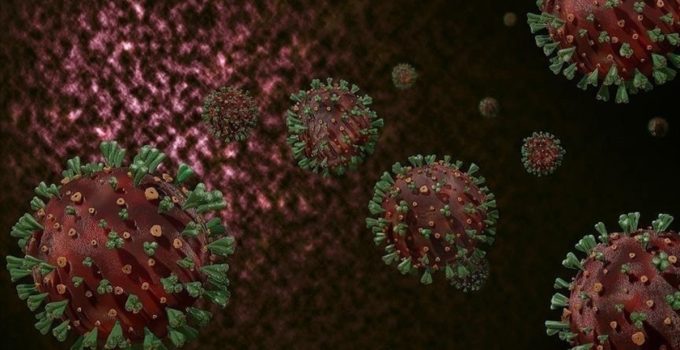 DSÖ: Afrika’da yaygın M çiçeği virüsüne karşı sürekli bulaşma riski nedeniyle hedefli aşılama şart