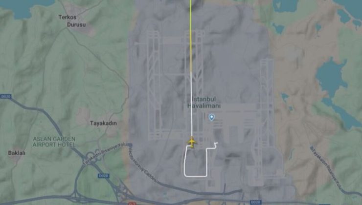 Pilotu rahatsızlanan uçak acil iniş yaptı
