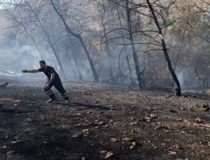 Şanlıurfa’da orman yangını çıktı