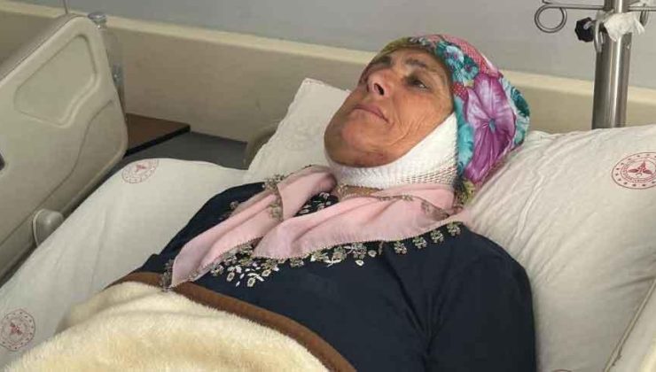 15 yıl sonra ilk kez gülümsedi! 54 yaşında hayat yeniden başladı: ‘Uzun sürdü ama başarılı geçti’