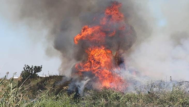 Antalya’da sazlık yangını! Vatandaşlar kano ve teknelerle müdahale etti