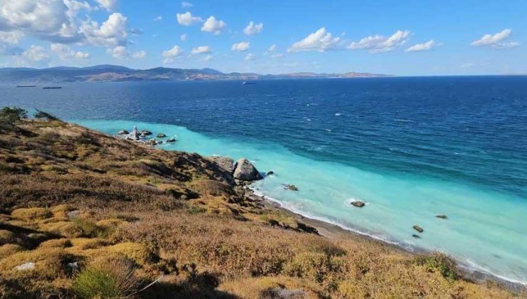 Bandırma’da şok görüntü! Beyaz madde sahile ulaştı