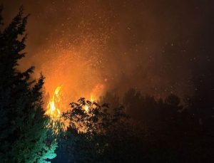 Beykoz’da orman yangını