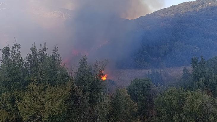 Burdur tarlada çıkan yangın ormana sıçradı