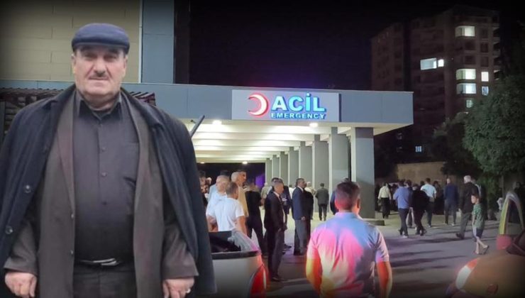 Ceviz silkelerken ağaçtan düştü; kurtarılamadı