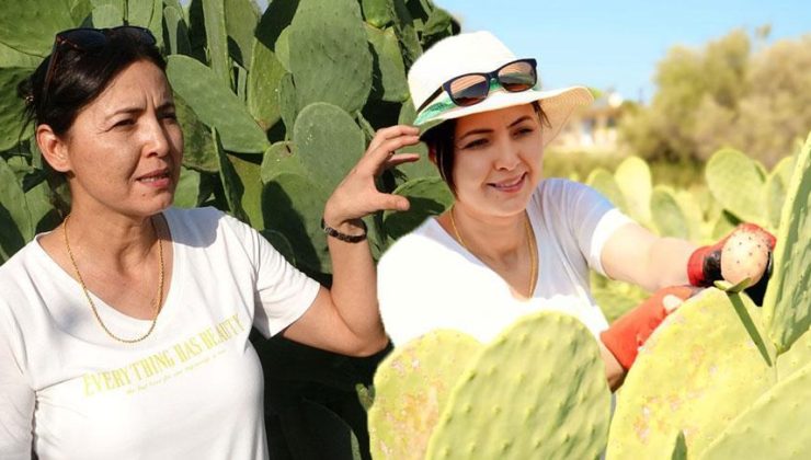 Çevresindeki herkes alay etti! Türkiye’de bir ilk: ‘Yurt dışında çok değerli’