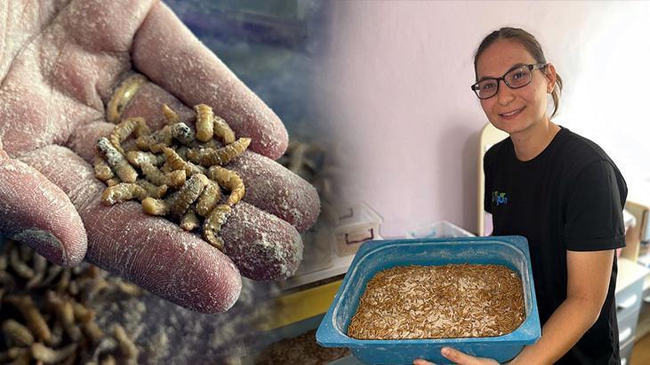 Evinde öyle bir iş kurdu ki paraya para demiyor: Taleplere yetişemiyorum