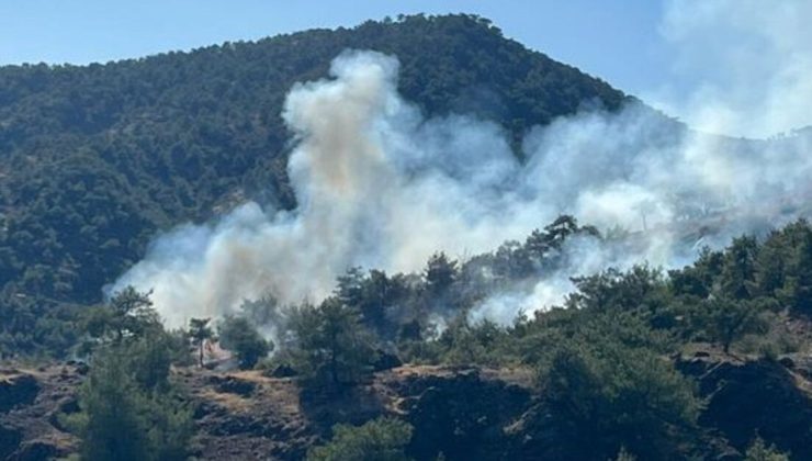 Gaziantep’te orman yangını çıktı