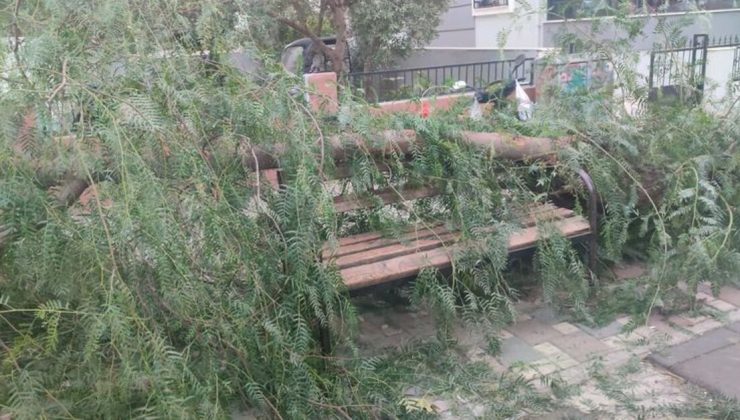İzmir’de ağacın devrilmesi sonucu 2 kişi yaralandı