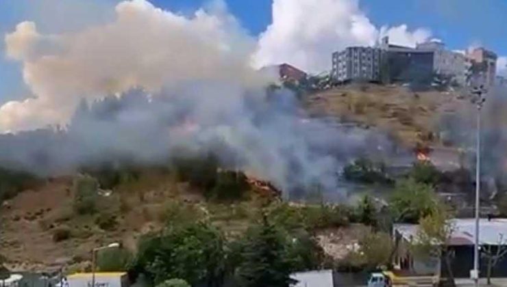 Kağıthane’de ağaçlık alanda yangın! İtfaiye ekipleri sevk edildi