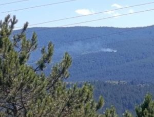 Kastamonu’da orman yangını çıktı
