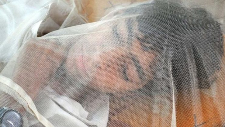 Komşuda Batı Nil virüsü alarmı… Can kaybı artıyor