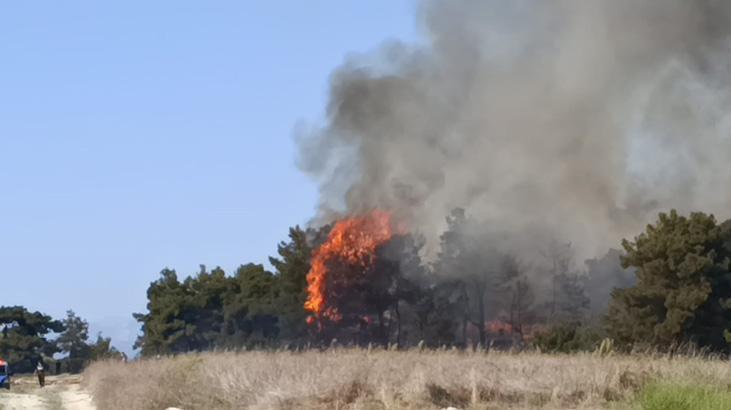 Manavgat'ta orman yangını! Havadan karadan müdahale