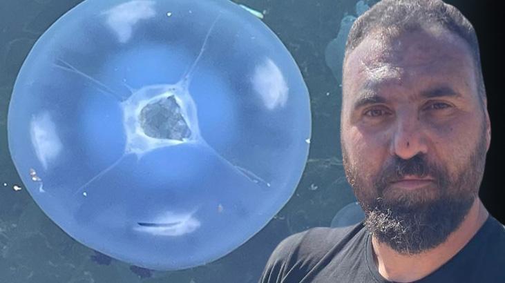 Marmara'da hortladı, kabusa dönüştü: Balıkçılık bitti artık