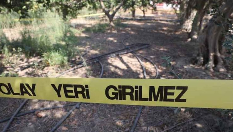 Narenciye bahçesinde vahşet! Para için arkadaşını satırla doğradı