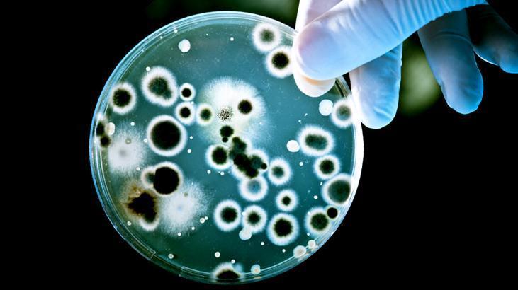 Okuldan eve mikrop hattı