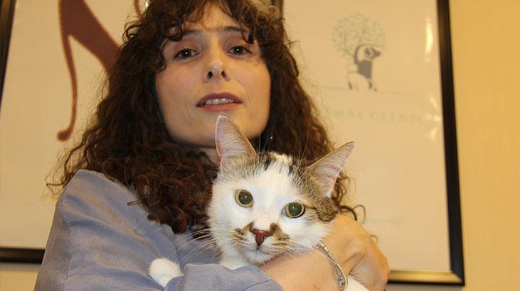 Şehir değiştirince depresyona girdi! Kediye antidepresanlı tedavi