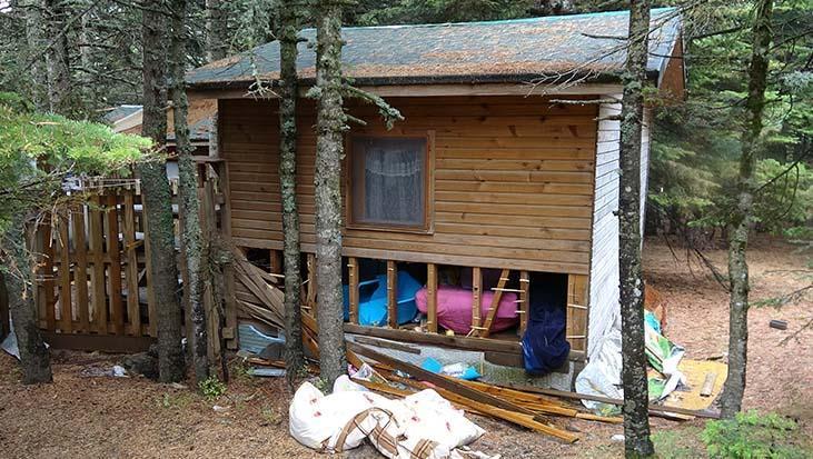 Uludağ’da 18 barakaya ayı saldırısı! Yiyecek kokusuna geldiler