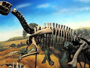 Yeni bir dinozor türü keşfedildi