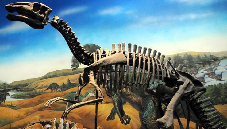 Yeni bir dinozor türü keşfedildi
