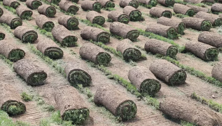 24 yılda 50 kat büyüdü! Köyden kente göçü tersine çeviren tesis