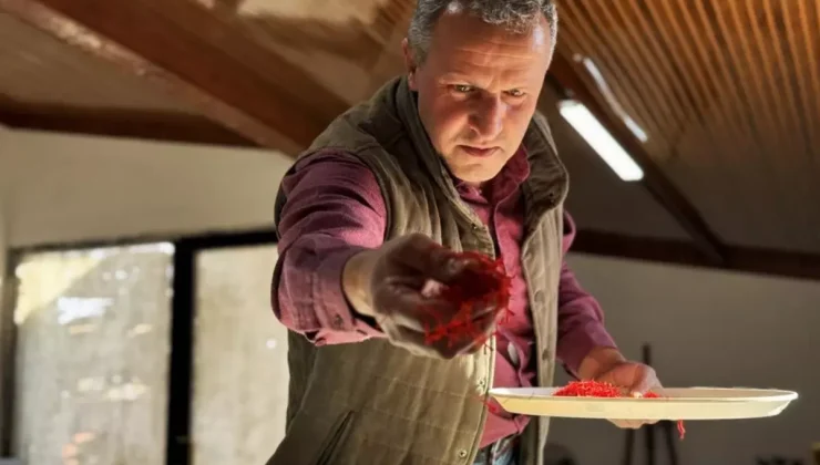 AB tescilli üründe hasat sürüyor, gramı 600 TL’ye dayandı