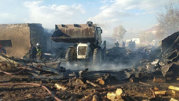 Ardahan’da çıkan ahır yangınında 23 hayvan öldü