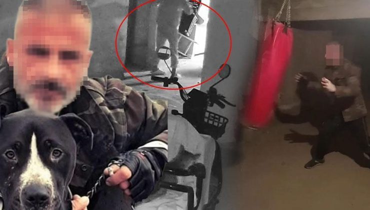 Bodrum katta gizemli kişi! 3 gece üst üste yangın çıkardı: ‘Köpeği, satırı ve bıçağı ile yaşıyor’