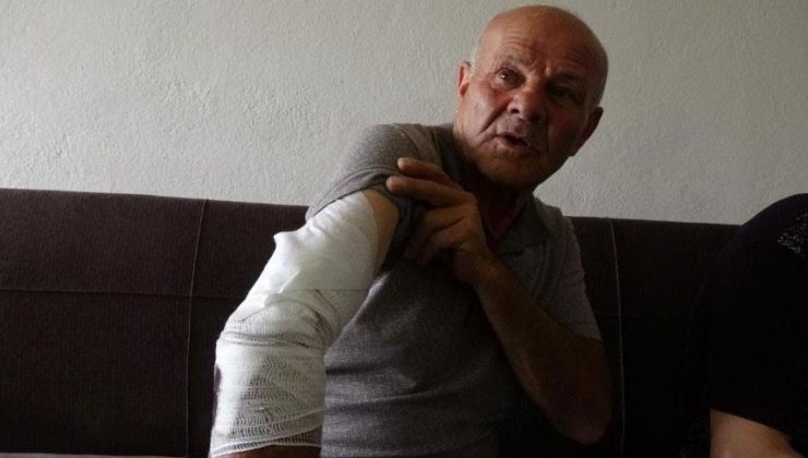 Burdur’da sokak köpeği dehşeti! Taksiciye 10’dan fazla dikiş atıldı: ‘Çocuk olsa öldürürdü’