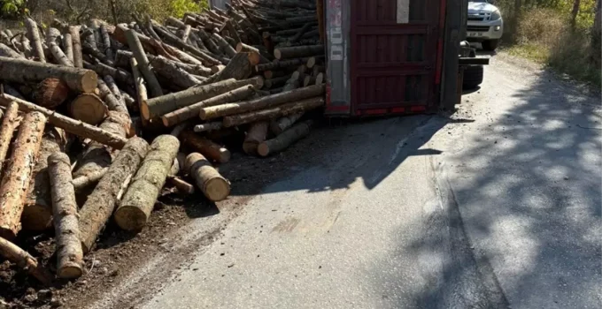 Çorum Bayat’ta Tomruk Yüklü Kamyon Devrildi, Sürücü Yaralandı