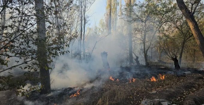 Çorum’da çıkan yangında 620 dönüm alan zarar gördü
