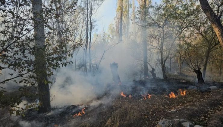 Çorum’da çıkan yangında 620 dönüm alan zarar gördü