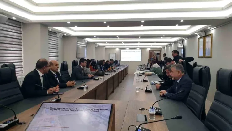Çorum’da Mevsimlik Tarım İşçileri İçin Teknik Destek Projesi Başladı