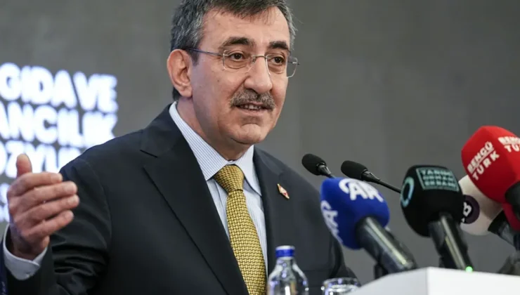 Cumhurbaşkanı Yardımcısı Yılmaz: Su konusunda ciddi tedbirler almalıyız