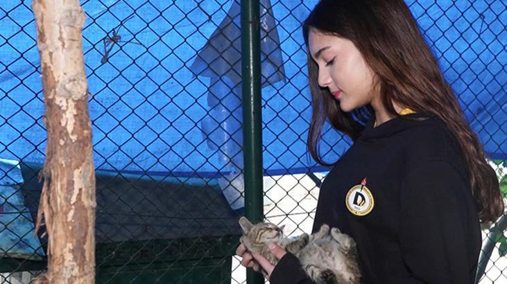 Demirören MTAL öğrencilerinden sokak hayvanlarına mama desteği