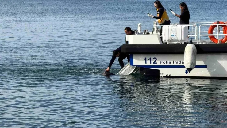 Erdek’te denizde erkek cesedi bulundu