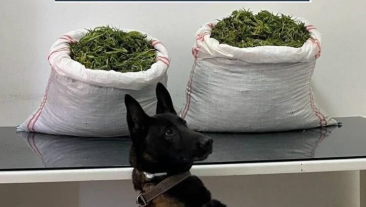 Erzurum’da 32 kilo uyuşturucu ele geçirildi