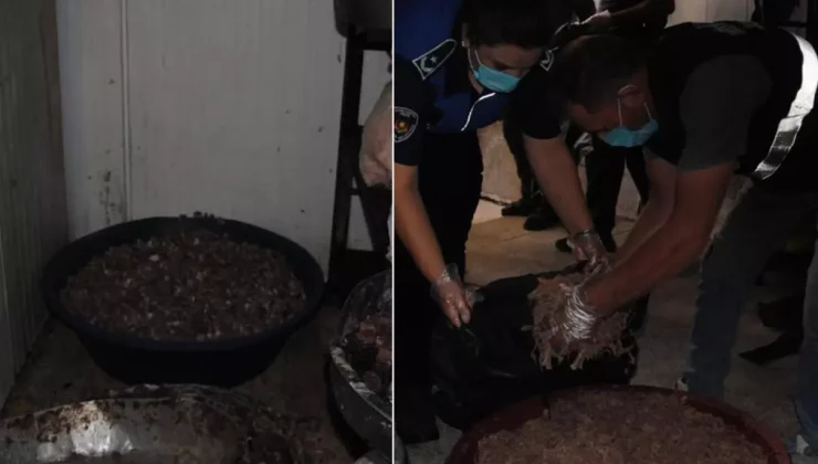 Gastronomi şehrinde mide bulandıran görüntüler! Düğünlere ve lokantalara vereceklerdi