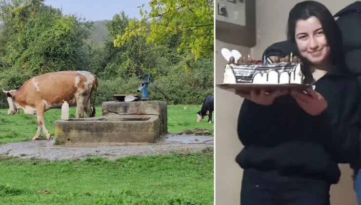 Hasret’in cesedi su kuyusunda bulundu! Şüpheli 5 kişinin katili çıktı