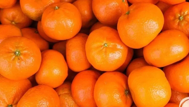 Herkes aynı soruyu soruyor: Turuncu mandalinalara ne oldu?