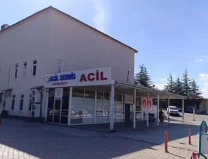 Kahramanmaraş’ta arı sokması sonucu 9 yaşındaki kız çocuğu hayatını kaybetti