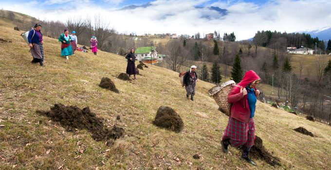 Karadeniz’in nemindeki sinsi tehlike! “Çiftçi akciğeri” kronikleşebilir