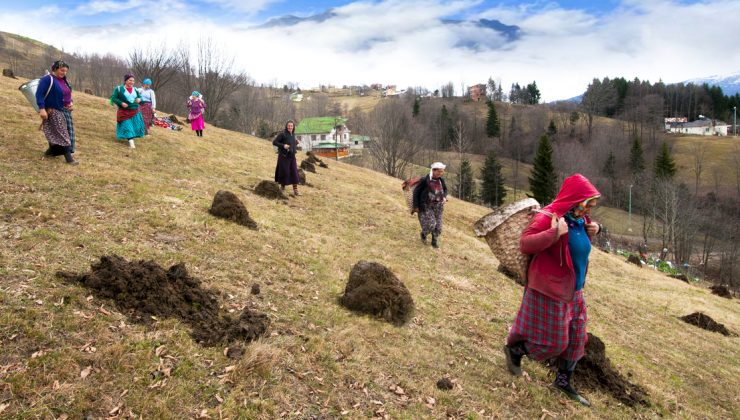 Karadeniz’in nemindeki sinsi tehlike! “Çiftçi akciğeri” kronikleşebilir