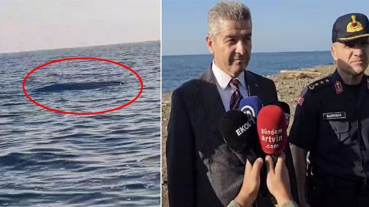 Karadeniz'de bir haftada ikinci kez görüldü! Vali: Yaklaşmayın, dokunmayın