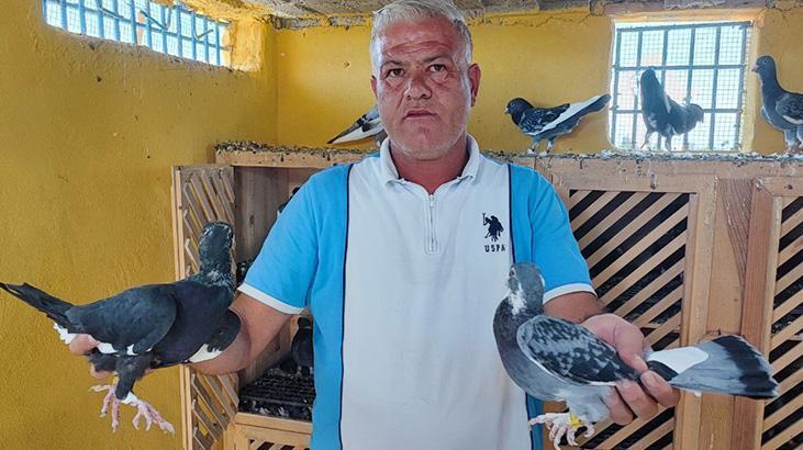 Kayıp güvercinlerini bulana ödülü 100 bin liraya çıkardı: Çocuğum gibi bakıyordum