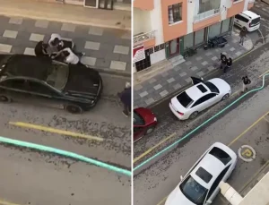 Kooperatif kavgasında kan döküldü: 2 kişi öldü, 2 kişi yaralandı